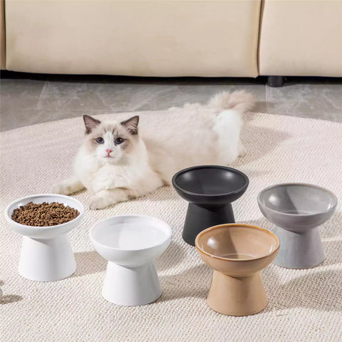 Elevated Cat Bowl Set With Stoneware Shallow Water Bowl And Deep Food Bowl - Designed For Comfortable And Mess-Free Feeding - Brown