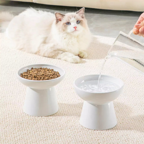 Elevated Cat Bowl Set With Stoneware Shallow Water Bowl And Deep Food Bowl - Designed For Comfortable And Mess-Free Feeding - White